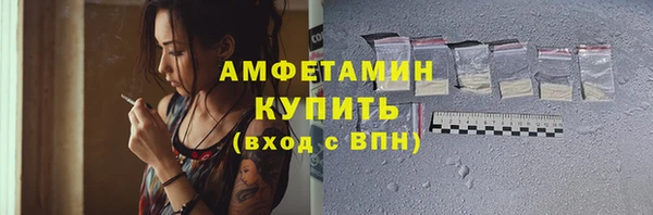 индика Володарск