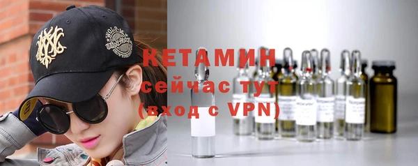 индика Володарск