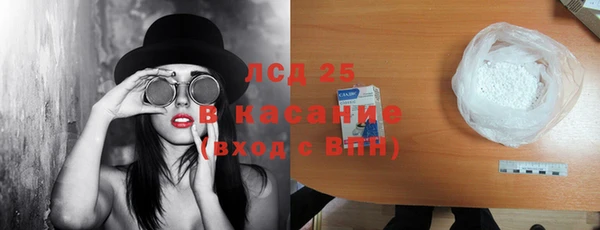 индика Володарск