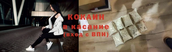 индика Володарск
