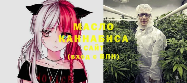 индика Володарск