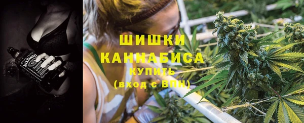 мдпв Волосово